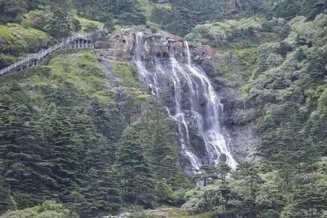 照顾小兔宝宝